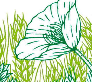 Bäckertüte Illustration